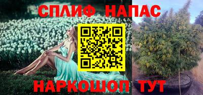 МДПВ Краснокаменск