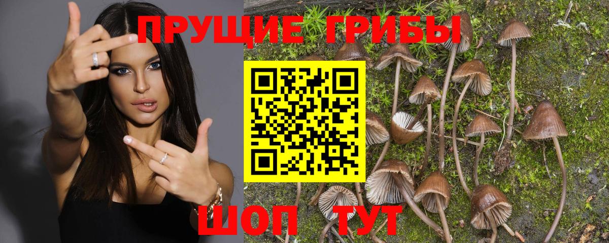 Галлюциногенные грибы Magic Shrooms Заволжье