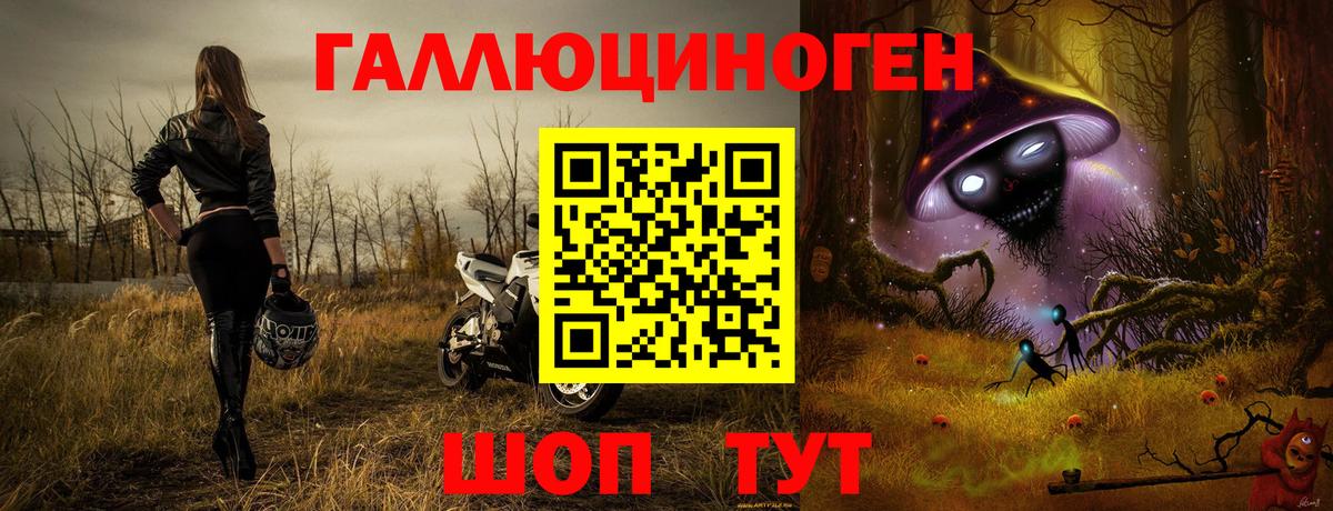 Заволжье  Галлюциногенные грибы мухоморы  Галлюциногенные грибы Psilocybe  закладки  Вход с VPN 